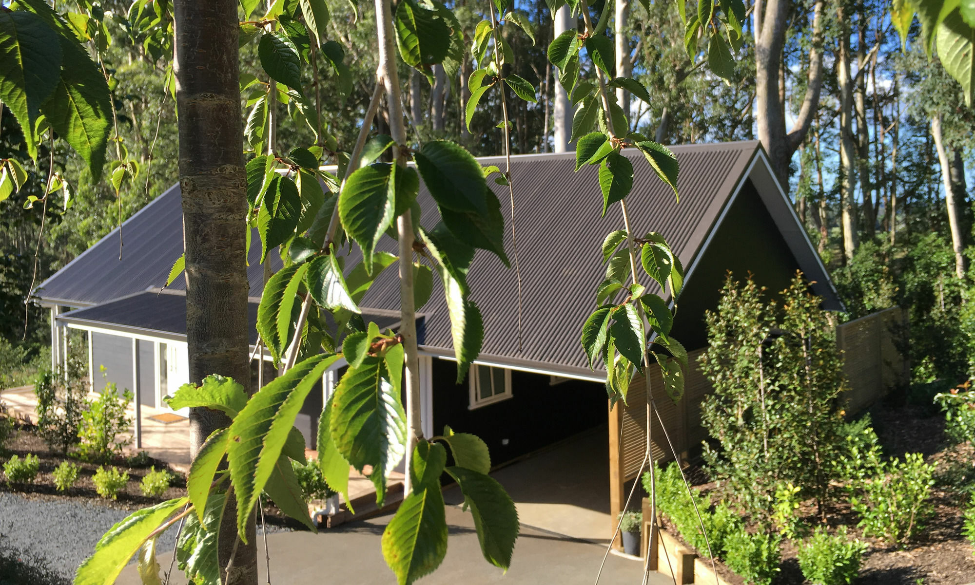 Treghan Luxury Lodge Kerikeri Exterior foto